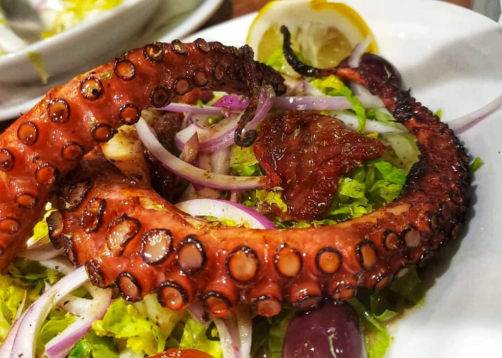 Greek dish of grilled octopus